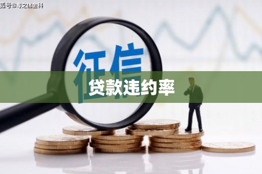 孟村贷款违约率