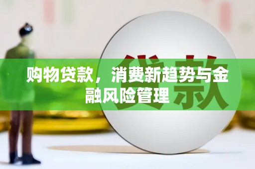 孟村购物贷款，消费新趋势与金融风险管理