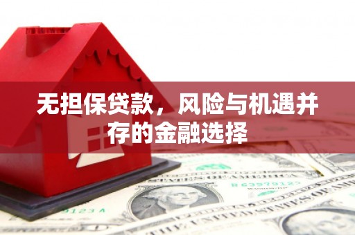 孟村无担保贷款，风险与机遇并存的金融选择