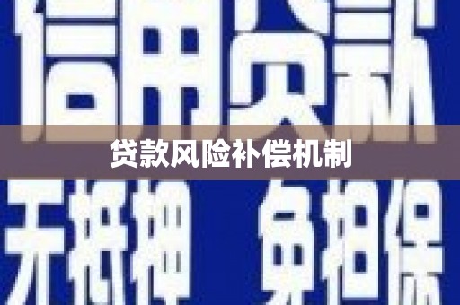 孟村贷款风险补偿机制