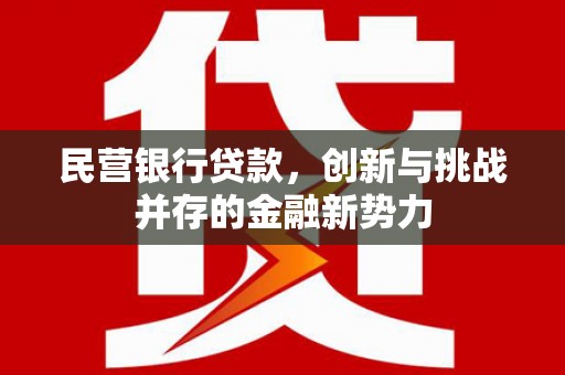 孟村民营银行贷款，创新与挑战并存的金融新势力