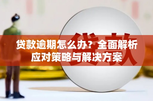 孟村贷款逾期怎么办？全面解析应对策略与解决方案