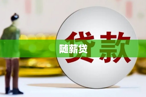 孟村随薪贷