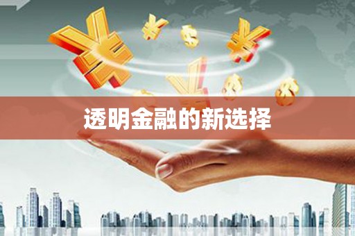 孟村透明金融的新选择