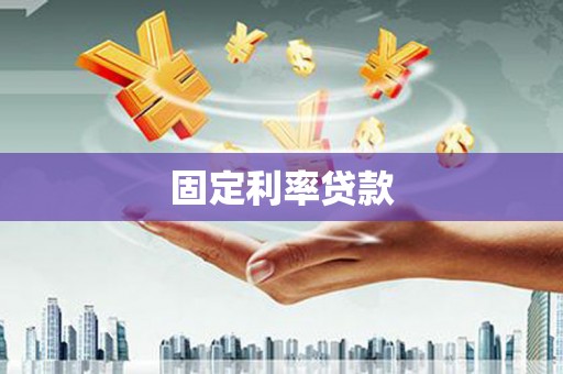 孟村固定利率贷款