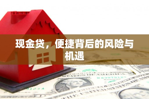 孟村现金贷，便捷背后的风险与机遇