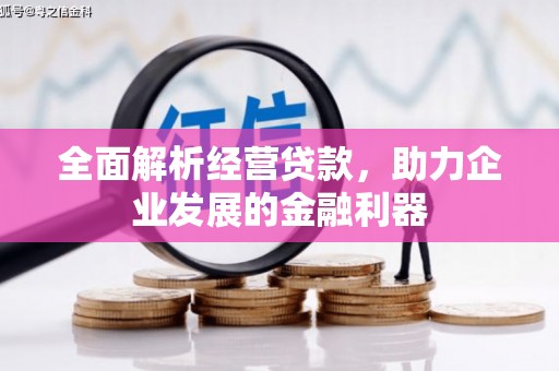 孟村全面解析经营贷款，助力企业发展的金融利器