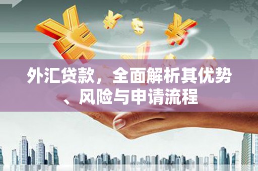 孟村外汇贷款，全面解析其优势、风险与申请流程