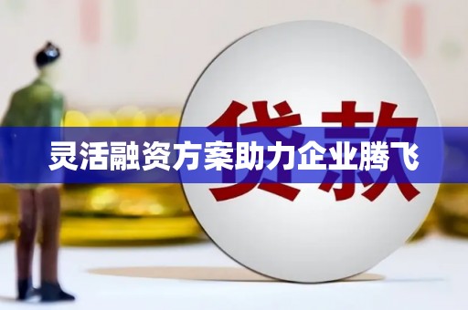 孟村灵活融资方案助力企业腾飞