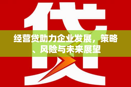 孟村经营贷助力企业发展，策略、风险与未来展望