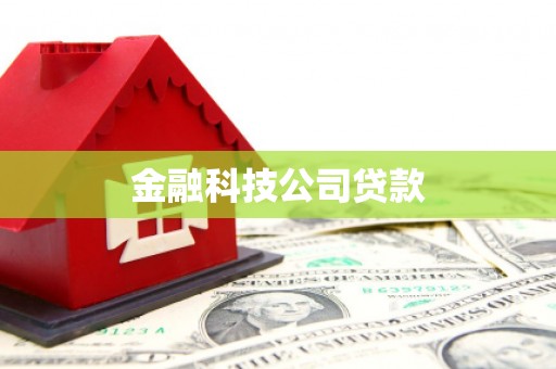 孟村金融科技公司贷款