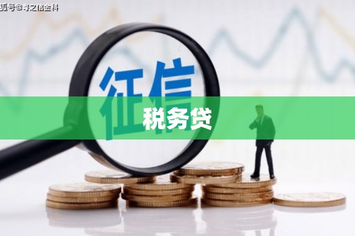 孟村税务贷
