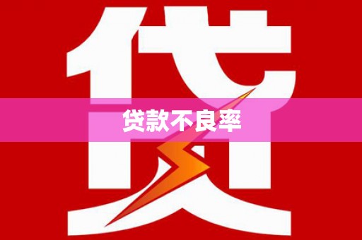孟村贷款不良率
