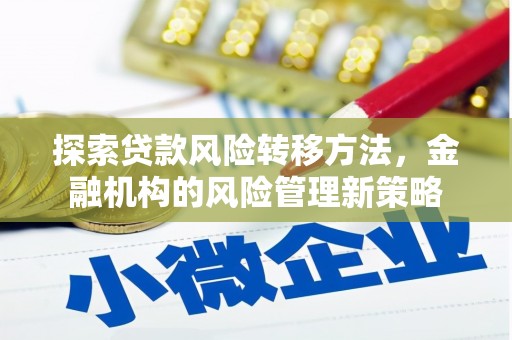 孟村探索贷款风险转移方法，金融机构的风险管理新策略