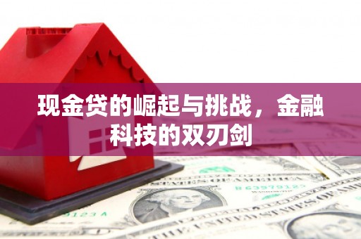 孟村现金贷的崛起与挑战，金融科技的双刃剑