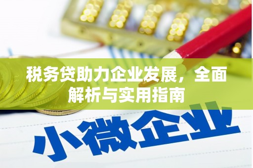 孟村税务贷助力企业发展，全面解析与实用指南