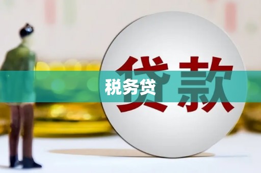 孟村税务贷