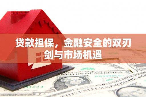 孟村贷款担保，金融安全的双刃剑与市场机遇