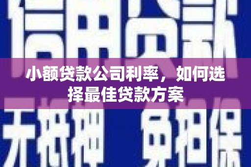 孟村小额贷款公司利率，如何选择最佳贷款方案