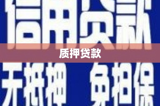 孟村质押贷款