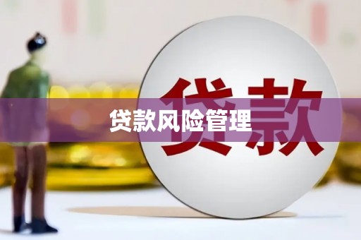 孟村贷款风险管理