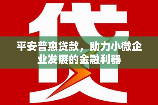 孟村平安普惠贷款，助力小微企业发展的金融利器