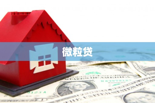孟村微粒贷
