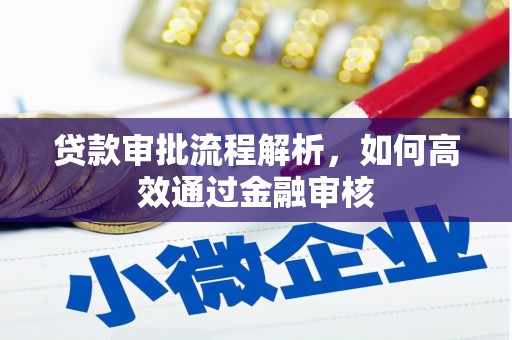 孟村贷款审批流程解析，如何高效通过金融审核