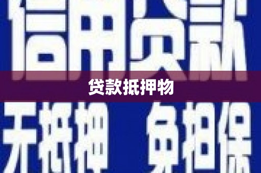 孟村贷款抵押物