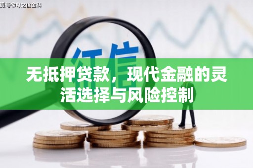 孟村无抵押贷款，现代金融的灵活选择与风险控制