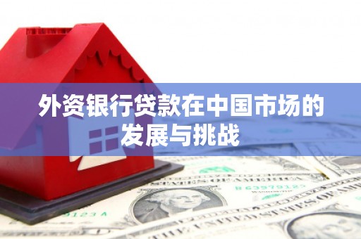 孟村外资银行贷款在中国市场的发展与挑战