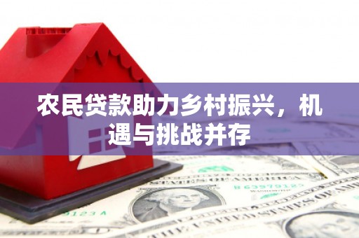 孟村农民贷款助力乡村振兴，机遇与挑战并存