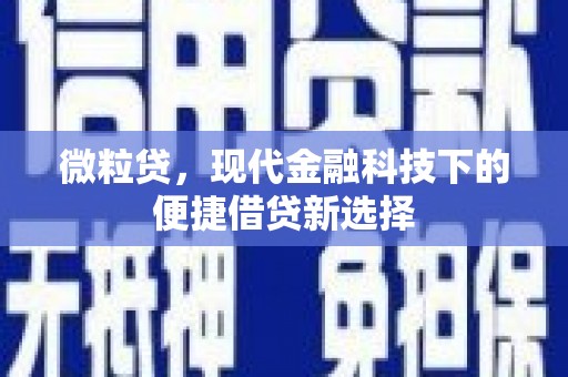 孟村微粒贷，现代金融科技下的便捷借贷新选择