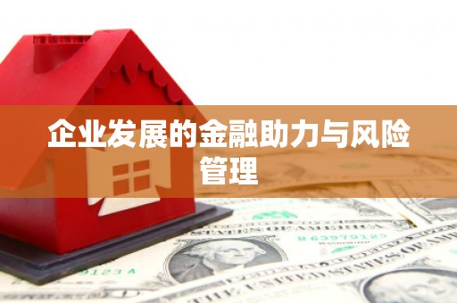 孟村企业发展的金融助力与风险管理