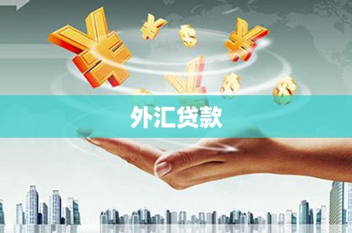 孟村外汇贷款