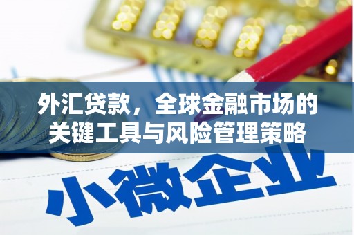 孟村外汇贷款，全球金融市场的关键工具与风险管理策略