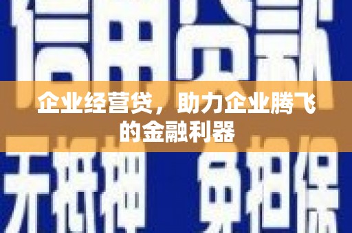 孟村企业经营贷，助力企业腾飞的金融利器