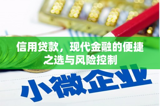 孟村信用贷款，现代金融的便捷之选与风险控制