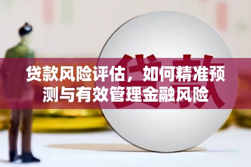 孟村贷款风险评估，如何精准预测与有效管理金融风险