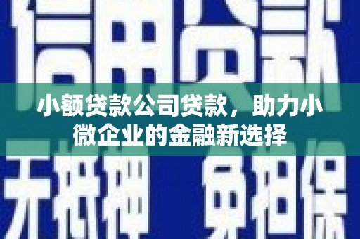 孟村小额贷款公司贷款，助力小微企业的金融新选择