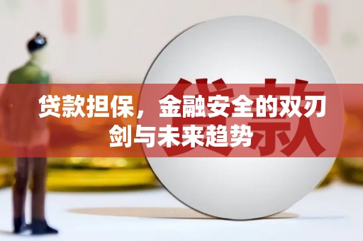 孟村贷款担保，金融安全的双刃剑与未来趋势