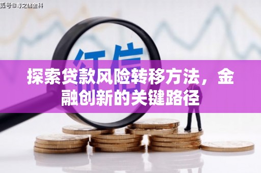 孟村探索贷款风险转移方法，金融创新的关键路径