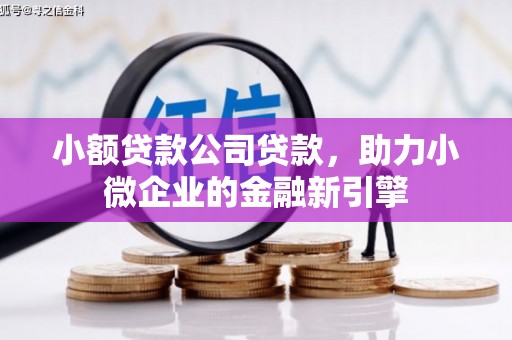 孟村小额贷款公司贷款，助力小微企业的金融新引擎
