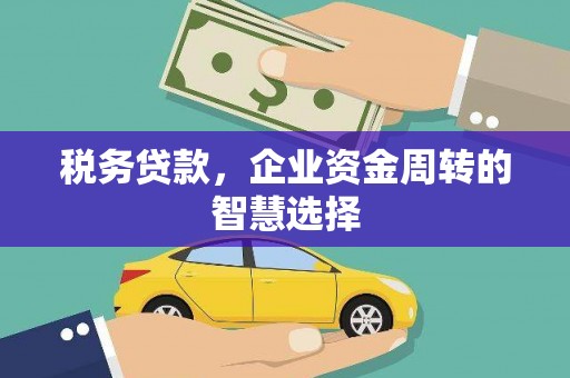 孟村税务贷款，企业资金周转的智慧选择