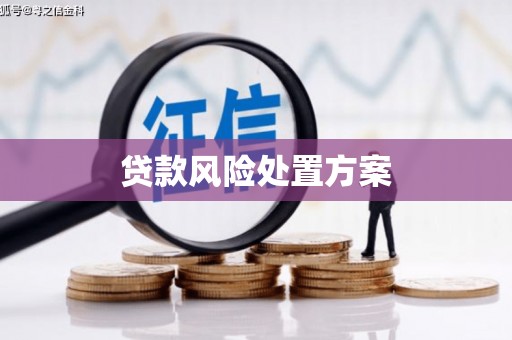 孟村贷款风险处置方案