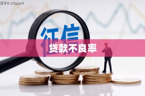 孟村贷款不良率