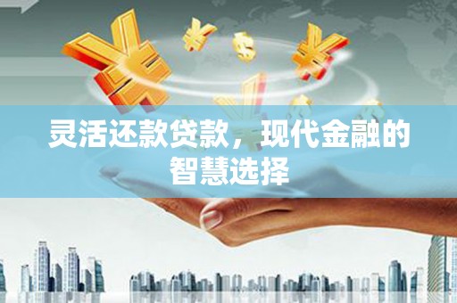 孟村灵活还款贷款，现代金融的智慧选择