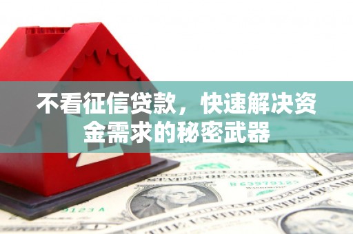 孟村不看征信贷款，快速解决资金需求的秘密武器