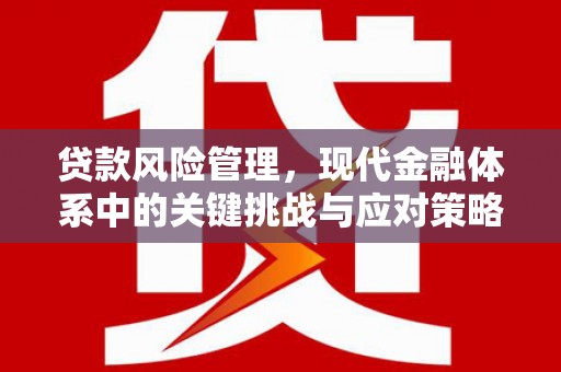 孟村贷款风险管理，现代金融体系中的关键挑战与应对策略