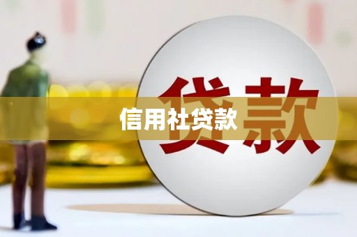 孟村信用社贷款